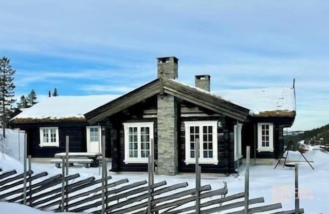 Spacious log cabin with panoramic view