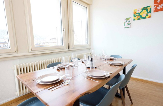 Spacious Zurich Apt, Huge Terrace & Views