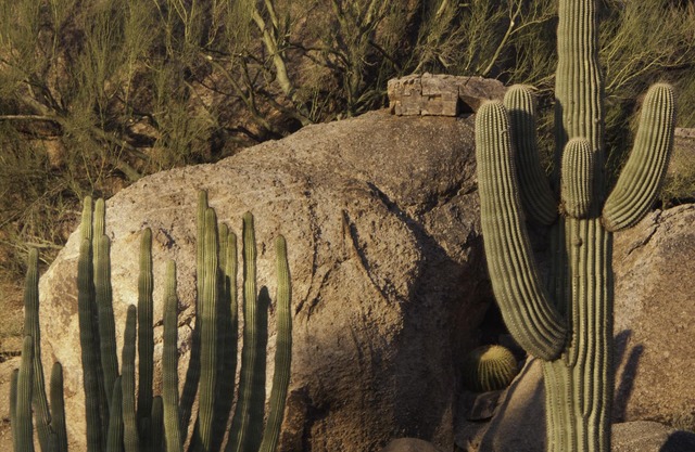 Spend Your Carefree Holiday at the Luxurious Carefree Casita