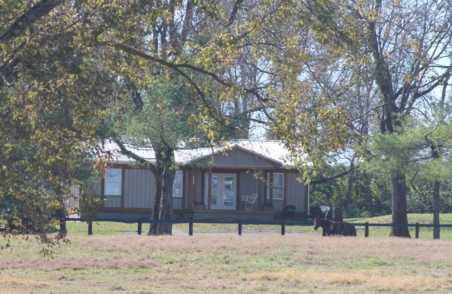 Springwood Cottage in the Heart of the Bluegrass