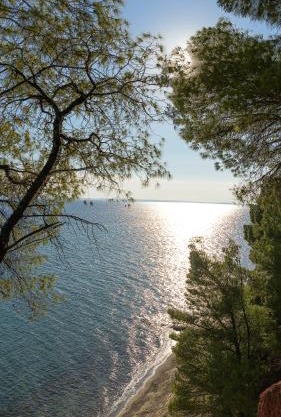 Squirrel Beach Front Villa, Metamorfosi