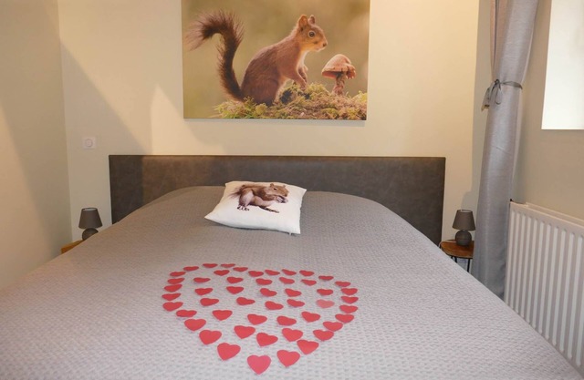 Squirrel Room