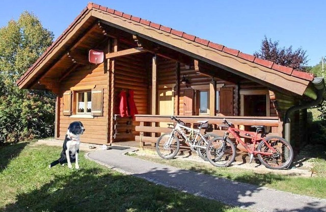 STA-24 - Log cabin with stylish furnishings & terrace - Naturerlebnisdorf