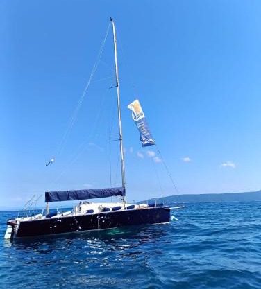 Starship JSAILING
