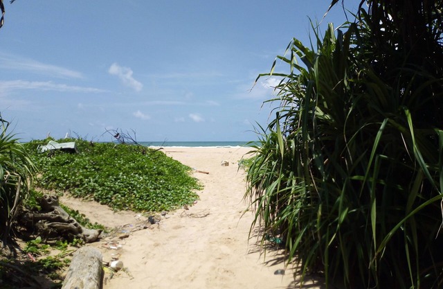 Stay in with sea breeze and luxury