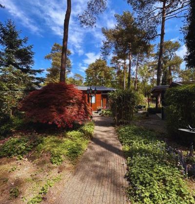 StayatSas Tiny House Pippa in de bossen op de Veluwe