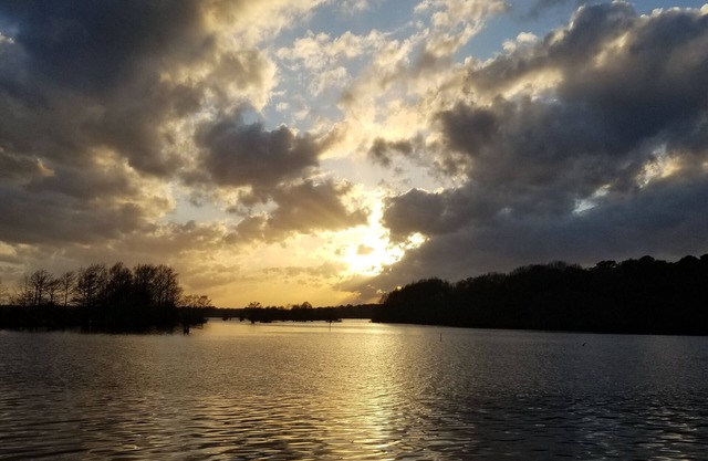 Still Waters