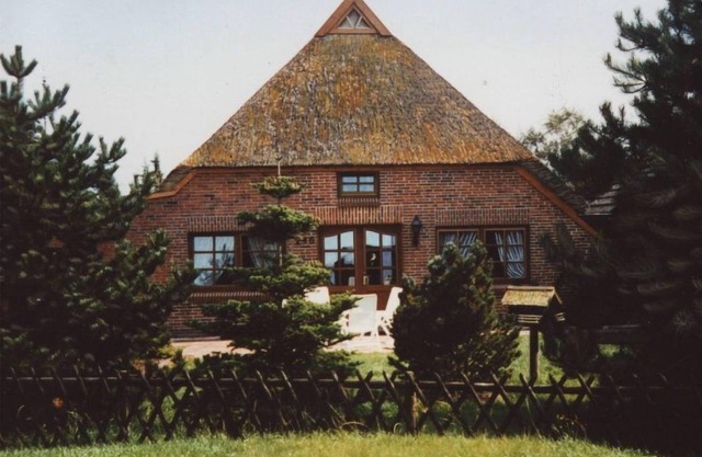 Strandnelke Modern retreat