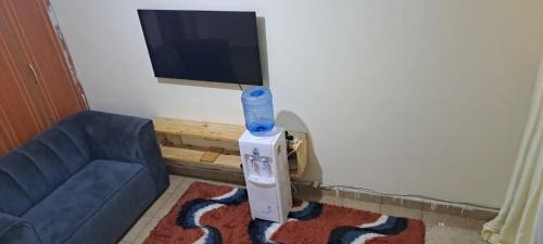 Studio 3