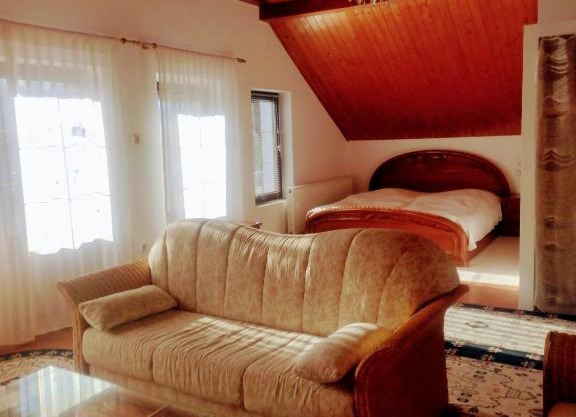 Studio 45 sqm with mountain view
