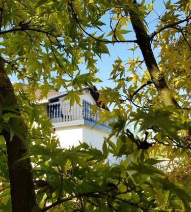 Studio apartman Gradna