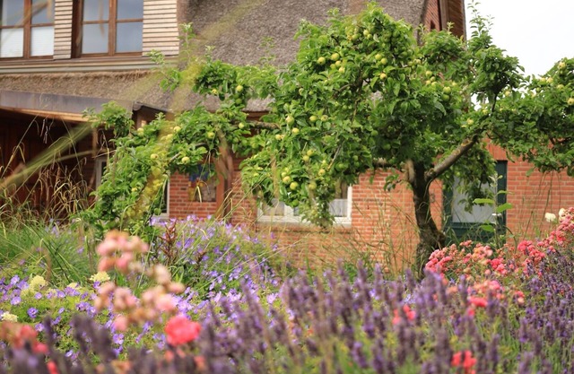 Studio Apartment 'Lüttdeel' with Private Terrace, Private Garden and Wi-Fi