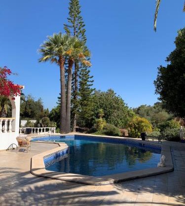 Studio de la Casa Paraiso avec, en plus, une terrasse privative extérieure semi couverte équipée d'un salon d'un coin repas d'une kitchenette, la grande piscine et les jardins sont partagés, à proximité des plages de FUSETA et de la RIA FORMOSA