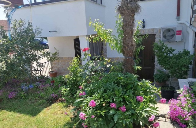 Studio flat with terrace Dajla, Novigrad (AS-6935-a)