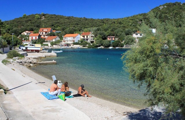 Studio flat with terrace Žrnovo, Korčula (AS-9239-a)