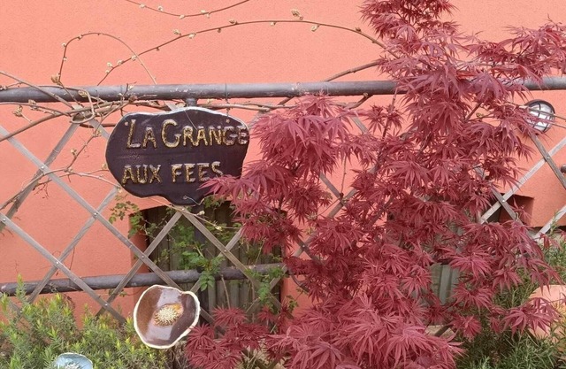 Studio Forêt