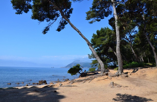 Studio ZEN 2/4 to 5 pers. -> 23H Walking distance (beach, hiking, children's playground, shops)