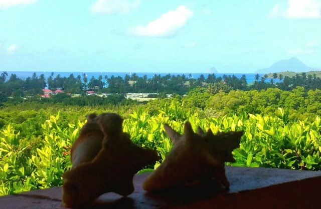 Studios Carribean Sea View