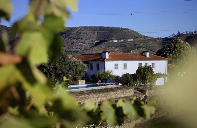 Stunning Boutique Vineyard Stay with Pool
