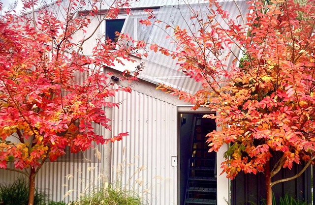 STYLISH ARCHITECTURAL - CENTENNIAL PK. Brilliant location: Quiet pretty central!