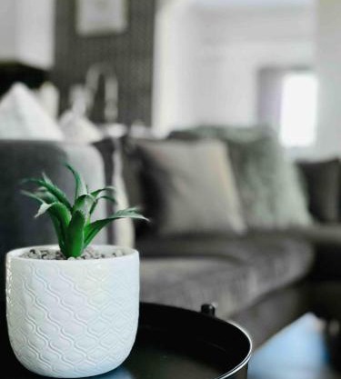 Suite Home Indiana Apartments