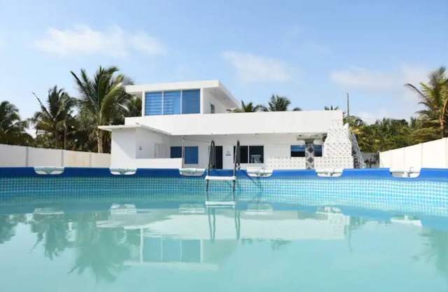 Suite Palmera