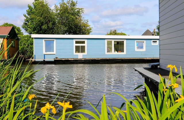 Sunny houseboat near Amsterdam & windmills!