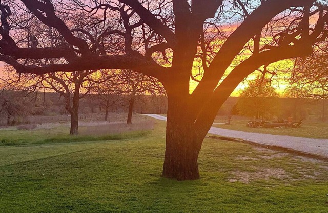 Sunset Oaks Retreat | Events, Farm Animals & Views
