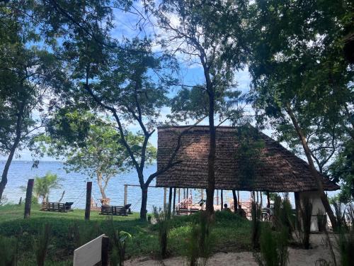 Sunset WhaleShark Beach