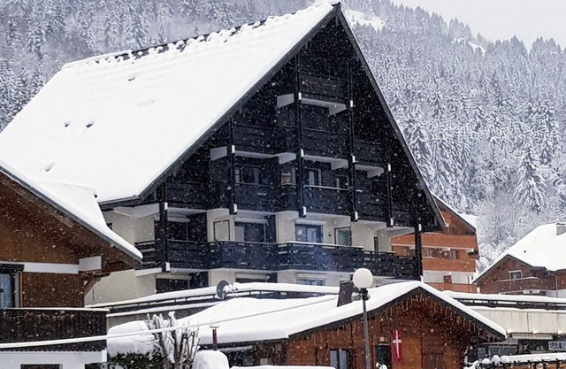 SUPERB APARTMENT. T2 3 ETOILES THOLLON LES MEMISES, SKI SLOPES, LAKE VIEW