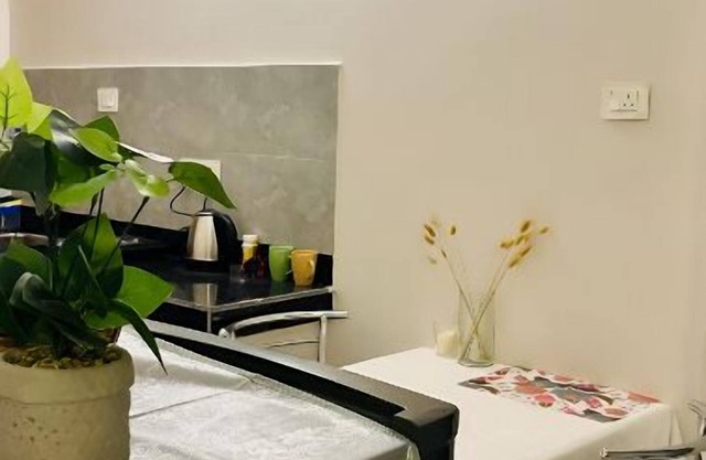 Superb cosy apartment with WiFi in Siliguri. Fur buddies are welcome.