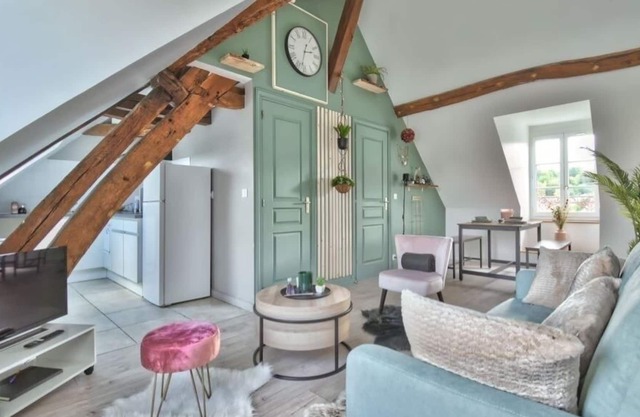 Superb Downtown Apartment