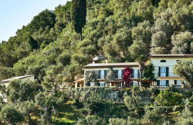 Superb Olive Grove House - Lovely Pool! Views LEANING TOWER! Near Pisa & Lucca.