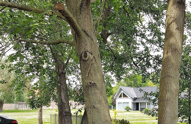Superb wooden cottage ideal for holidays or trips of ire