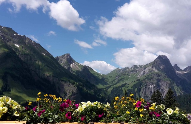 surrounded by breathtaking mountain scenery, balcony, garden, playground, WiFi, grill