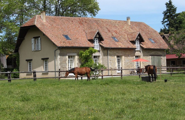 surrounded by horses, superb character longère - 14 pers. - 7 bedrooms
