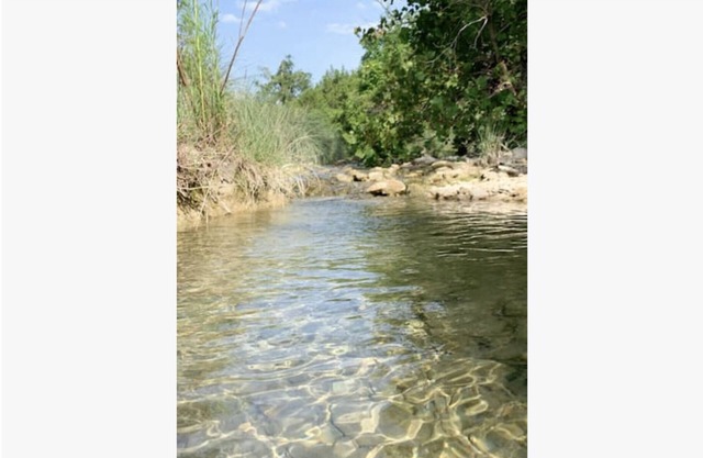 Surya Nature Retreat on 40 Acres with Amazing Views!