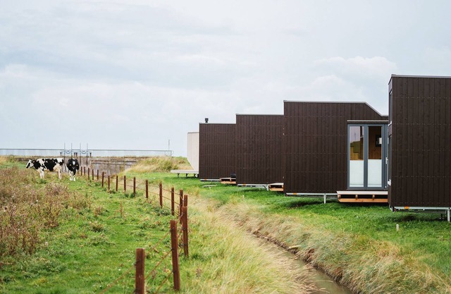 Sustainable overnight experience in the Green Tiny House Nature on the North Sea