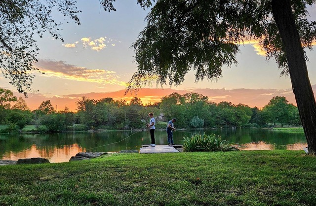 Swan Shores - newly remodeled lakefront home