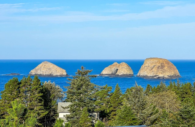 Sweeping ocean-view home with fireplace, grill, & foosball table - dog-friendly