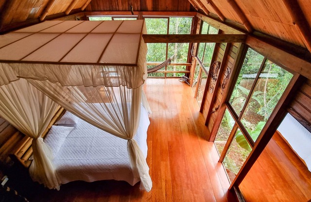 Sweet Home Amazon Region