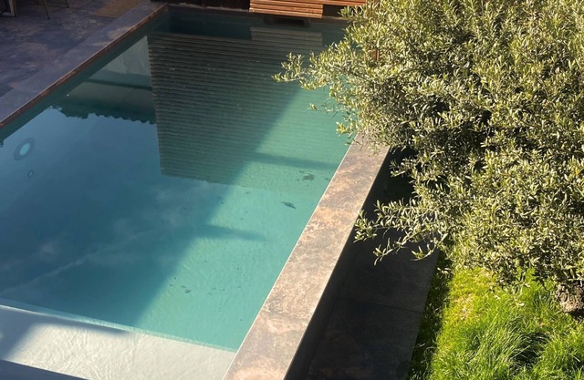 Swimming pool and incredible toulousian house !