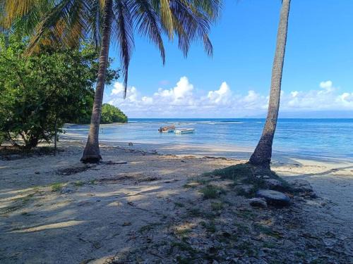 T1 bis à proximité de la plage