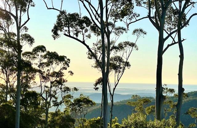 Tamborine Mountain Lodge