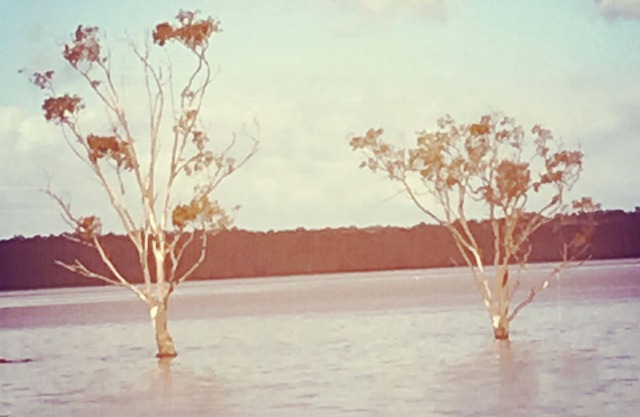 Tamboritha by the lake