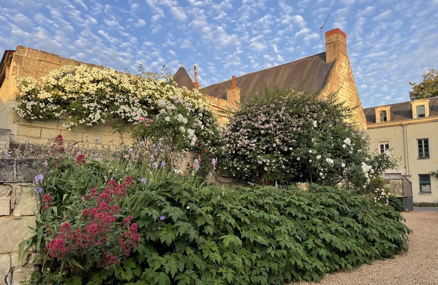 Tastefully furnished 4 star gîte in historical village of Fontevraud l'Abbaye