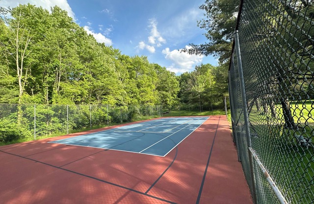 Tennis court