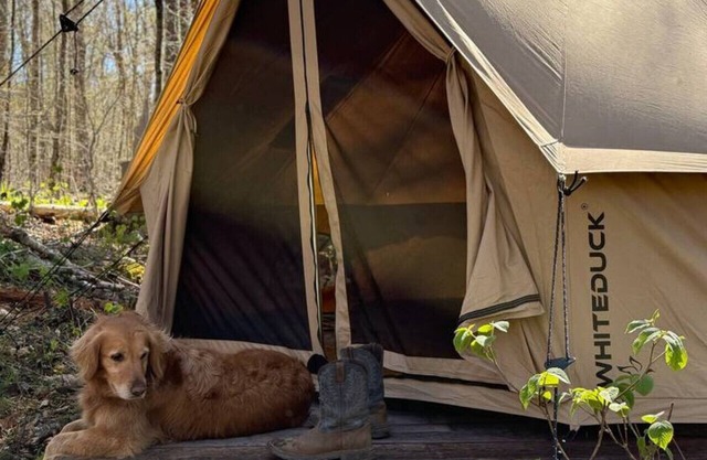 Tent in Indian Lake+Pet Friendly+Brookside