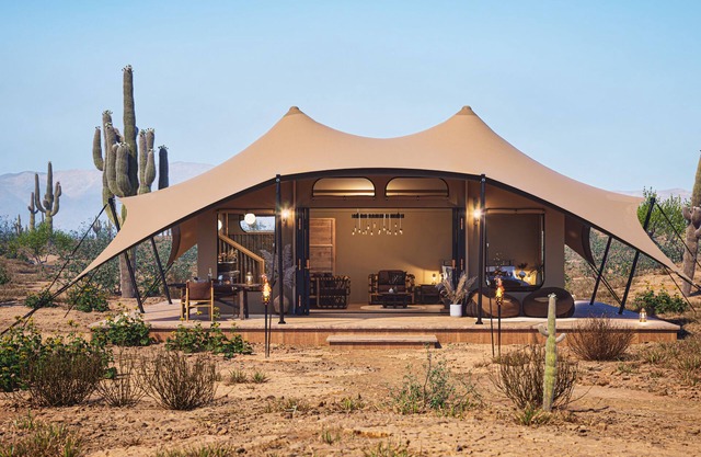 Tent Saguaro