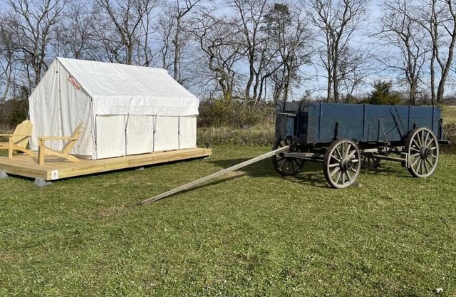 Tentrr Signature Site - Blackwell Wood Farm